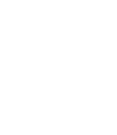 Genzeon-IT-Services