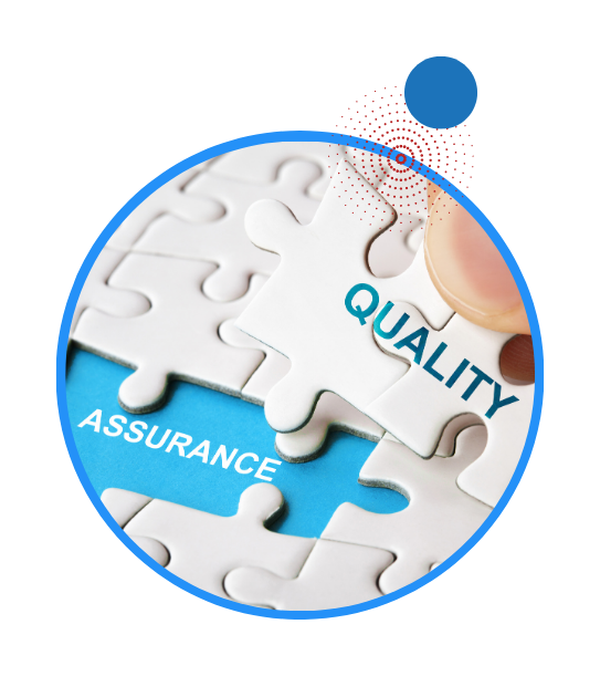 Quality-Assurance-Case-Study